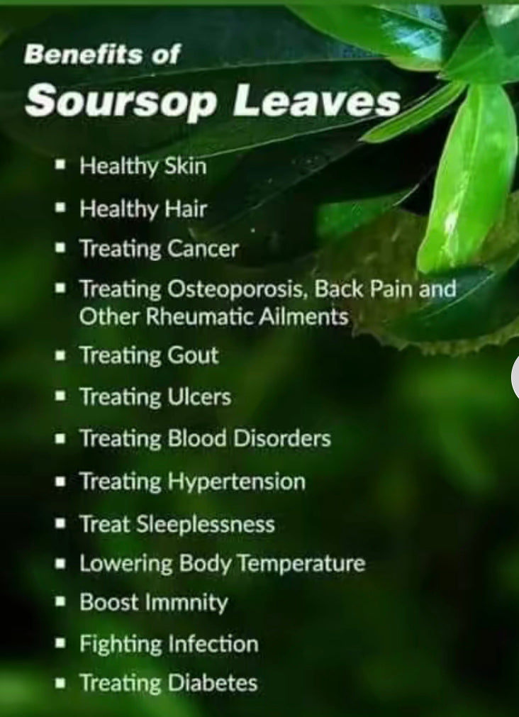 Soursop Tea Leaves
